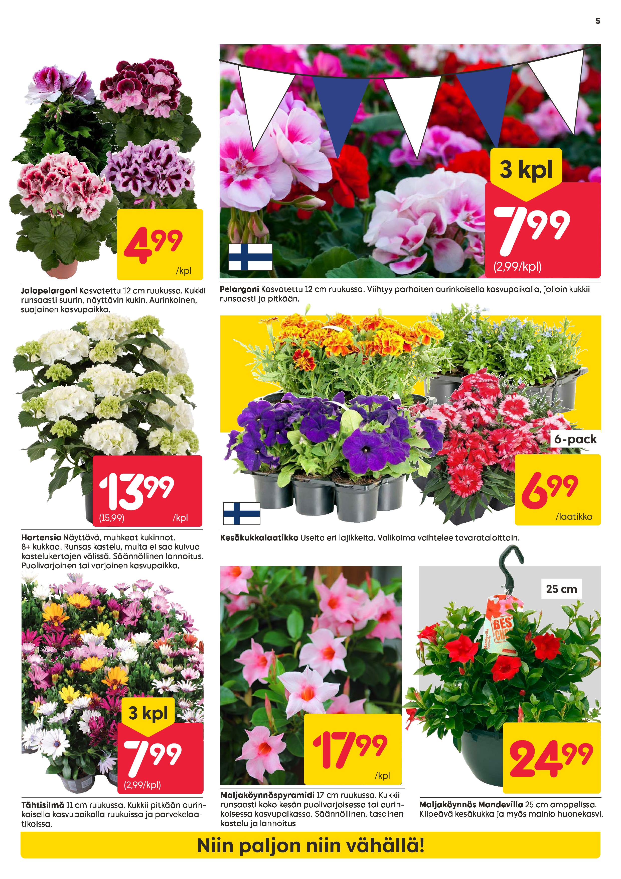 Rusta Rustattuja Hintoja sivu 5